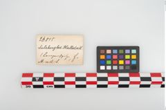 Etikett zu Eisenlanzenspitze (NHMW-PRAE-026815)